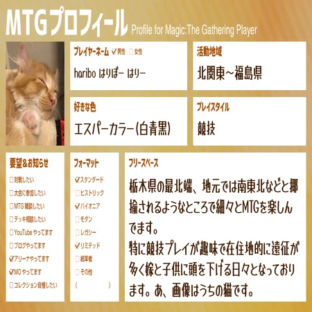 MTG パイオニア奮闘記 店舗予選編｜はりー