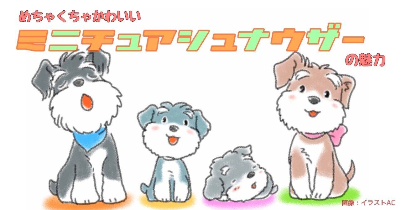 たけさん専用　シュナウザー　FW2点 楽天市場】ミニチュアシュナウザー（ブランドフルオブビガー