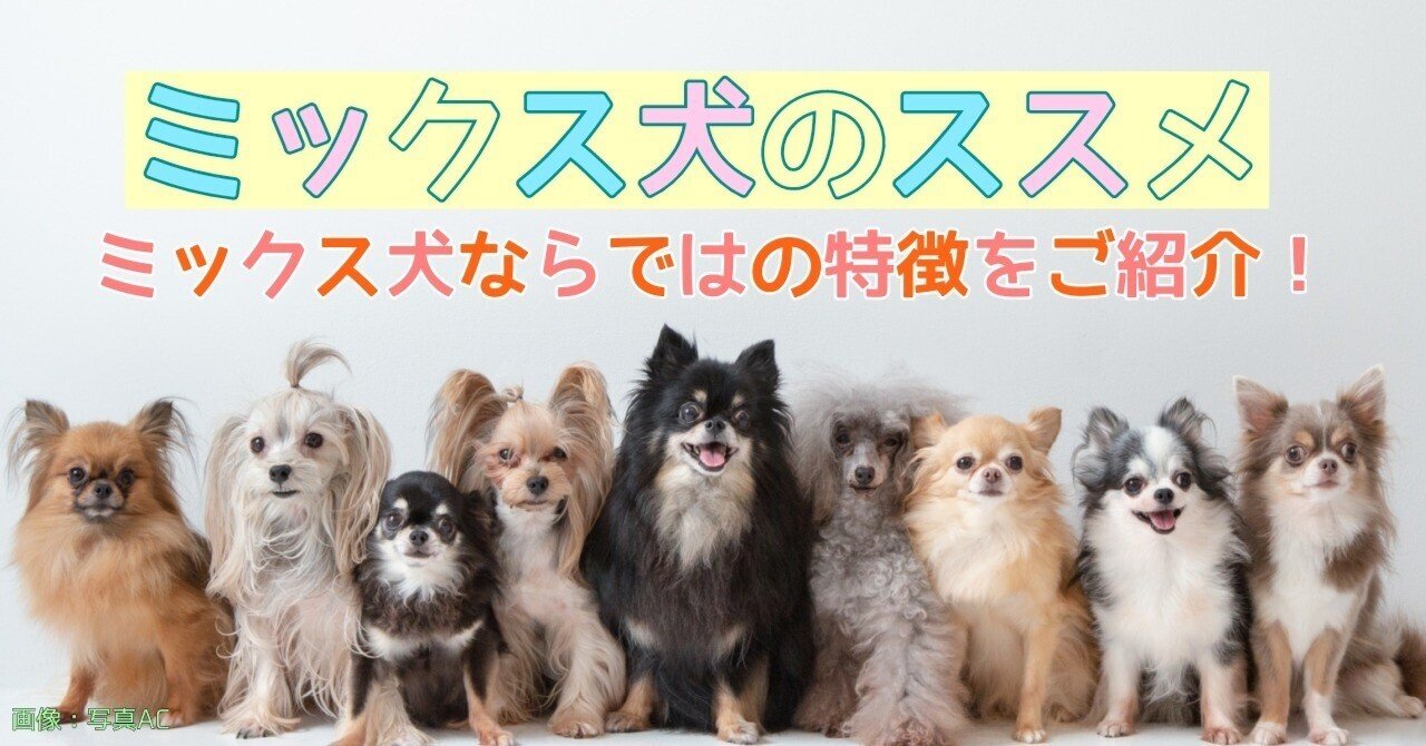 意外と知らない動物たちのこと #07｜mba_international