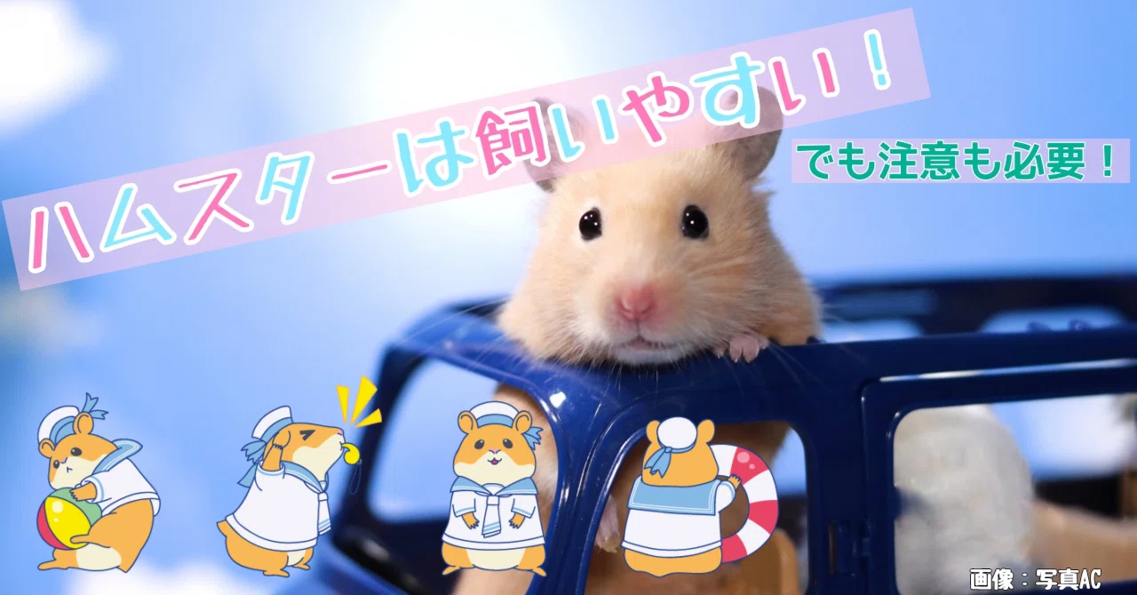 意外と知らない動物たちのこと #09｜mba_international