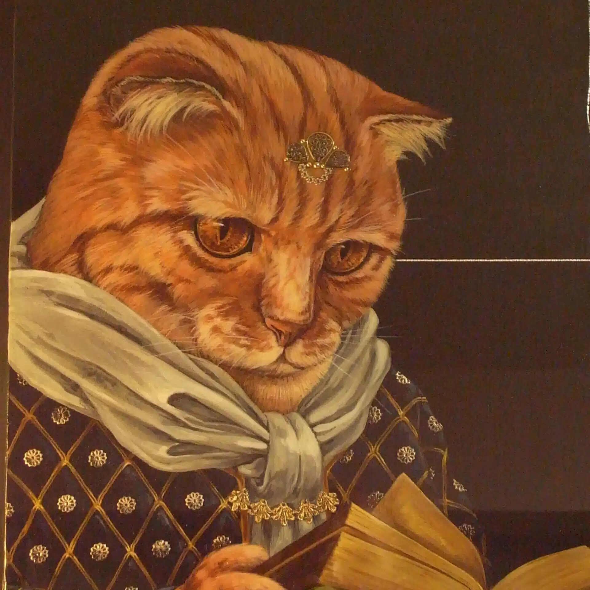 柴田泰正 / Yasumasa Shibata