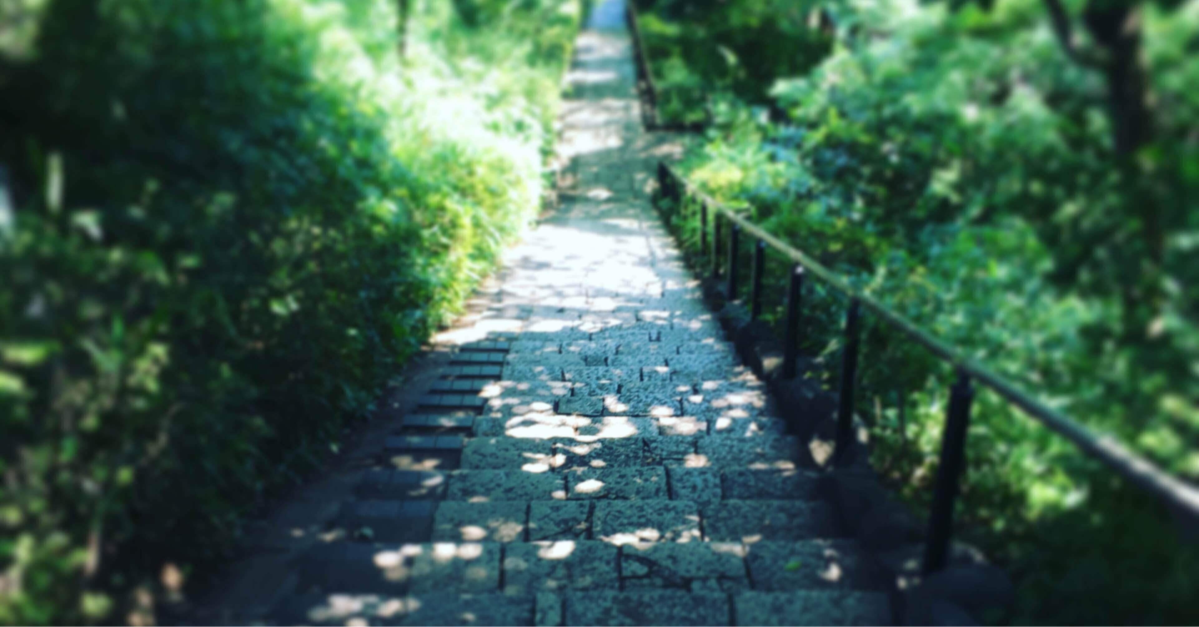 フエギア✨「コモレビ」15ml　未使用に近い フエギア 1833】コモレビ（木漏れ日）（ジュリアン・べデル） | カイエ