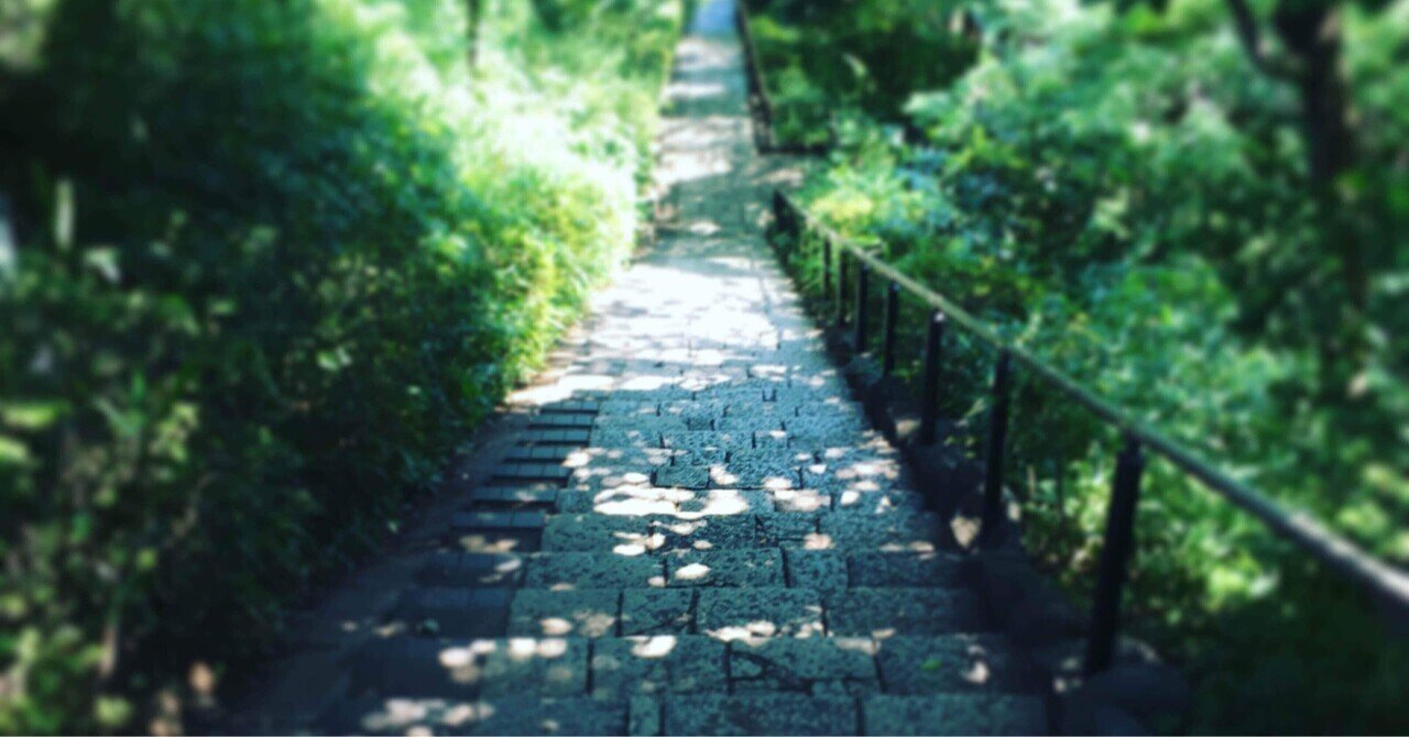 木漏れ日を香りで表現したら…。~フエギア1833 コモレビ~｜aosagi_daisy