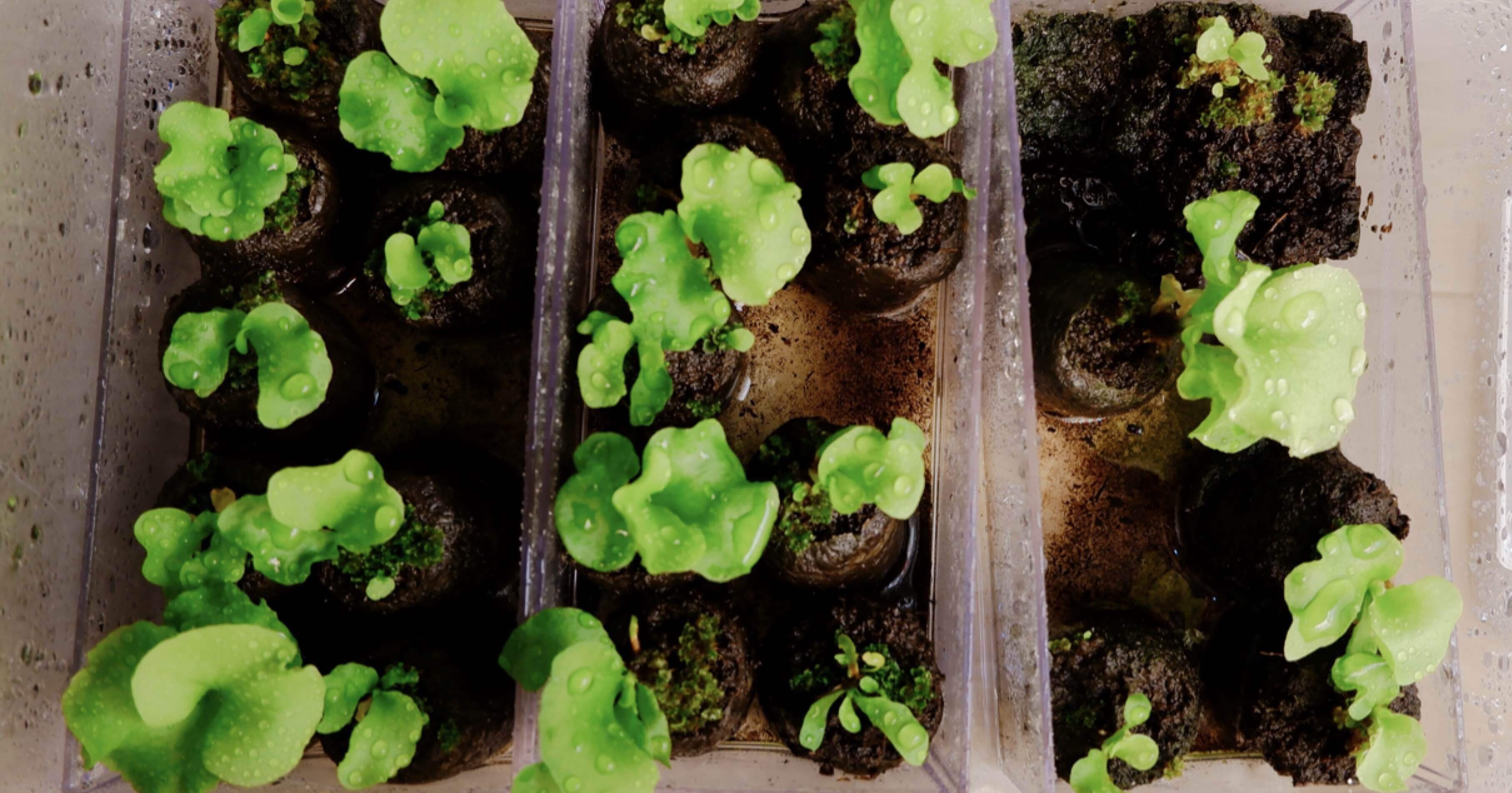 4e4b6d280a184e2de984861039c781