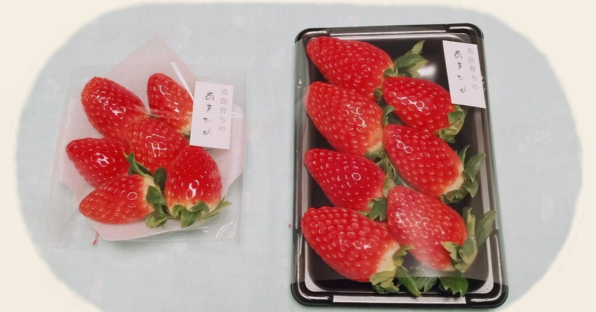 ★決算特価商品★ 中捨いちご園～よくあるご質問～｜中捨いちご園 手提げ・レッスンバッグ・入園グッズ
