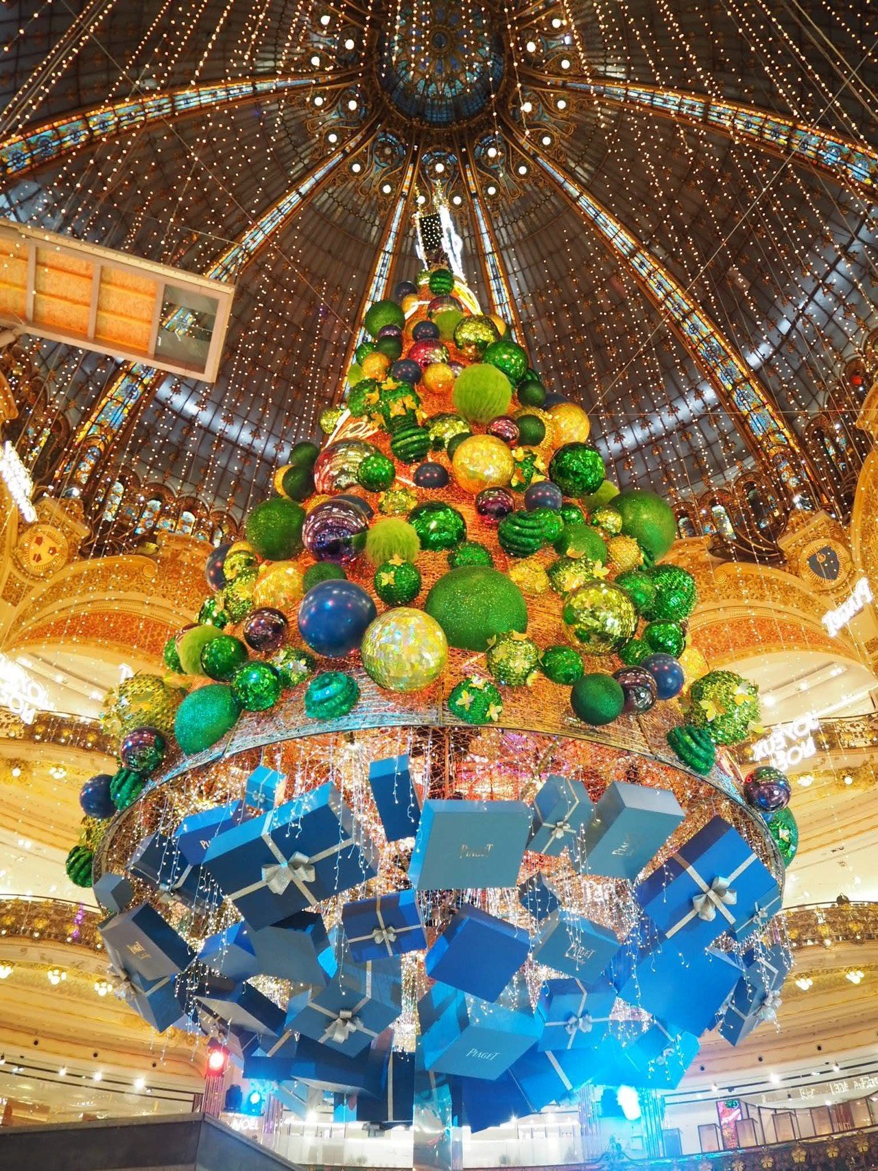 パリのクリスマスツリーと、宴の後の野良ツリー_パリ節約自炊生活番外