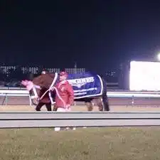 アヴニールマルシェ