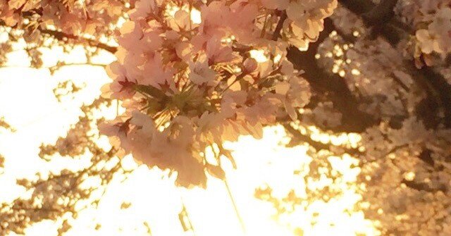 Kagrraのはなし。｜青咲