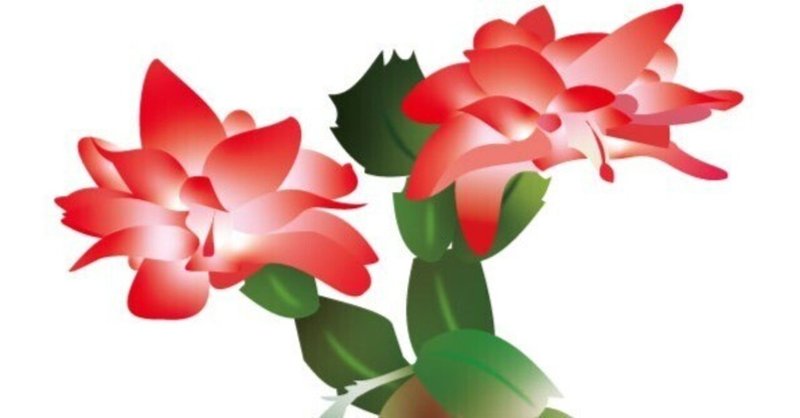 花言葉日誌：12月12日の誕生花は「シャコバサボテン」