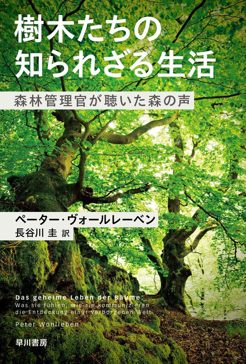 木が葉っぱを落とすのはトイレのため 驚きの冬の過ごし方の数々 傑作ノンフィクション 樹木たちの知られざる生活 早川書房 から特別抜粋 Hayakawa Books Magazines B 木が葉っぱを落とすのはトイレのため 驚きの冬の過ごし方の数々 傑作ノンフィクション 樹木たちの知られざる生活 早川書房 から特別抜粋 Hayakawa Books Magazines B