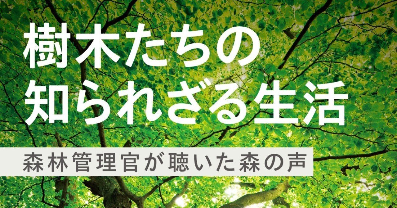 木が葉っぱを落とすのはトイレのため 驚きの冬の過ごし方の数々 傑作ノンフィクション 樹木たちの知られざる生活 早川書房 から特別抜粋 Hayakawa Books Magazines B 木が葉っぱを落とすのはトイレのため 驚きの冬の過ごし方の数々 傑作ノンフィクション 樹木たちの知られざる生活 早川書房 から特別抜粋 Hayakawa Books Magazines B