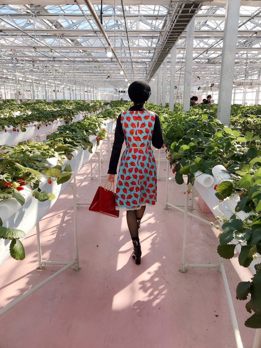 いちご柄の服はダサい Anne Note