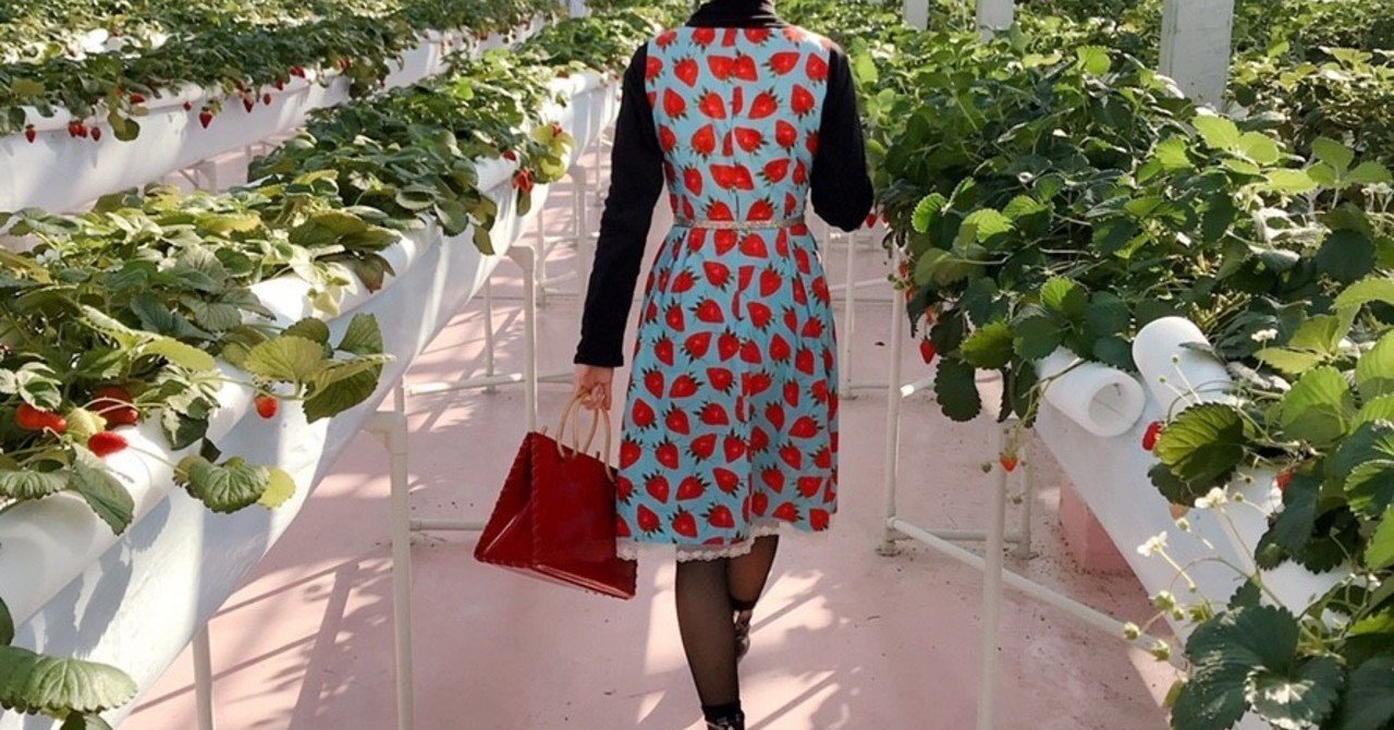 いちご柄の服はダサい Anne Note