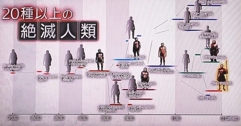 絶滅人類の衝撃~第一回「20種以上の絶滅人類」|oichan|note