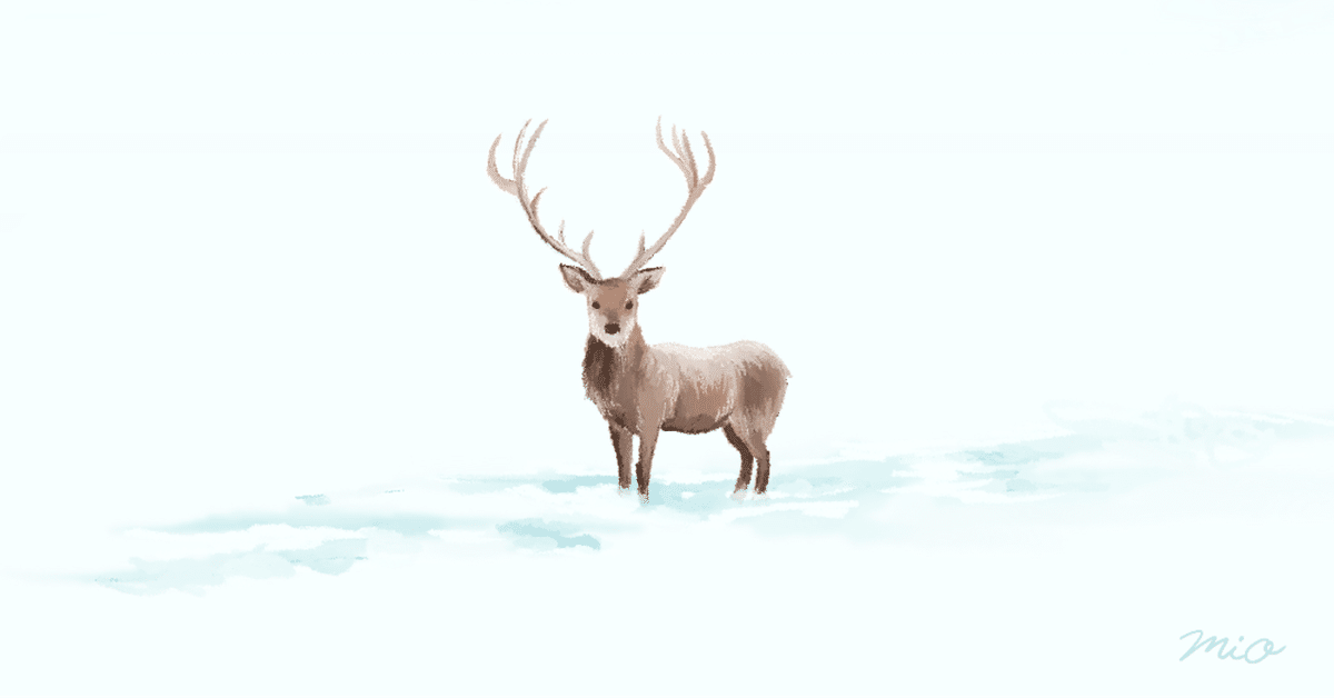 トナカイたちがもっている粋な名前を知っていますか？｜Marmalade 