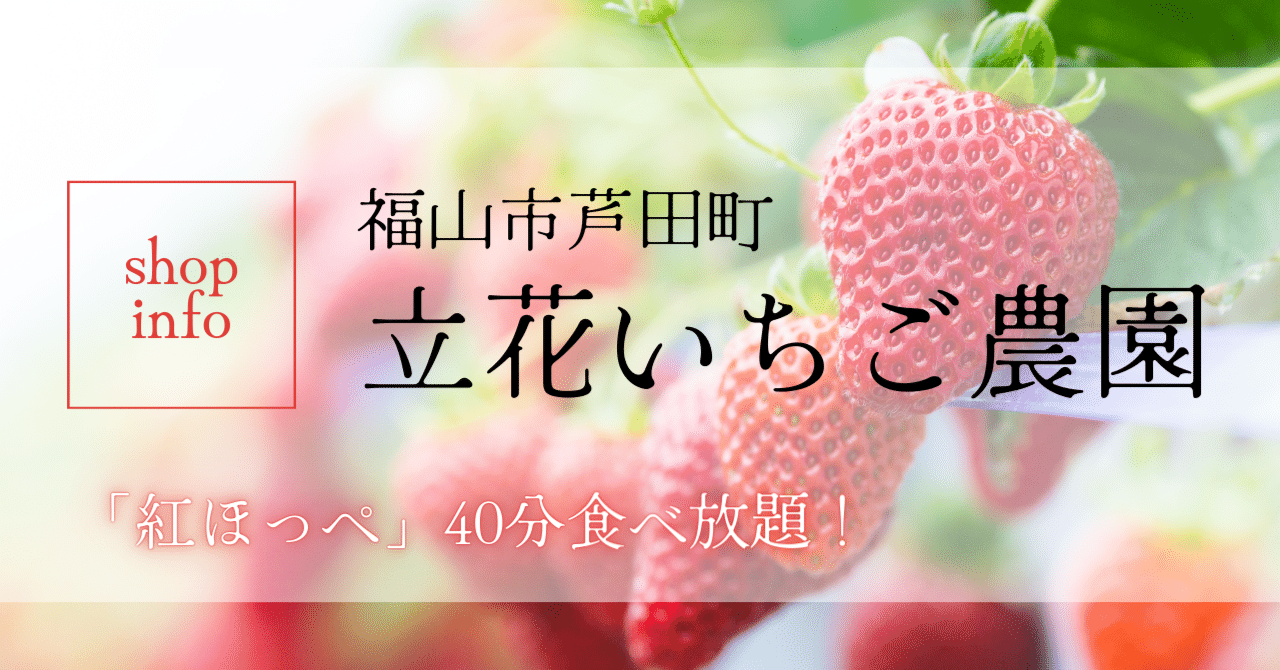 おでかけオススメスポット紹介「立花いちご農園」福山市芦田町