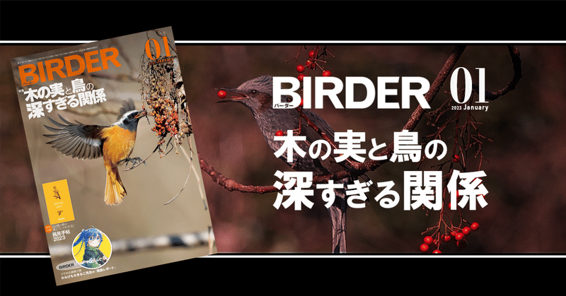 BIRDER（2022.1-12月号）　12冊セット 今月のBIRDER - 2022-12｜ブンイチ（文一総合出版）｜note