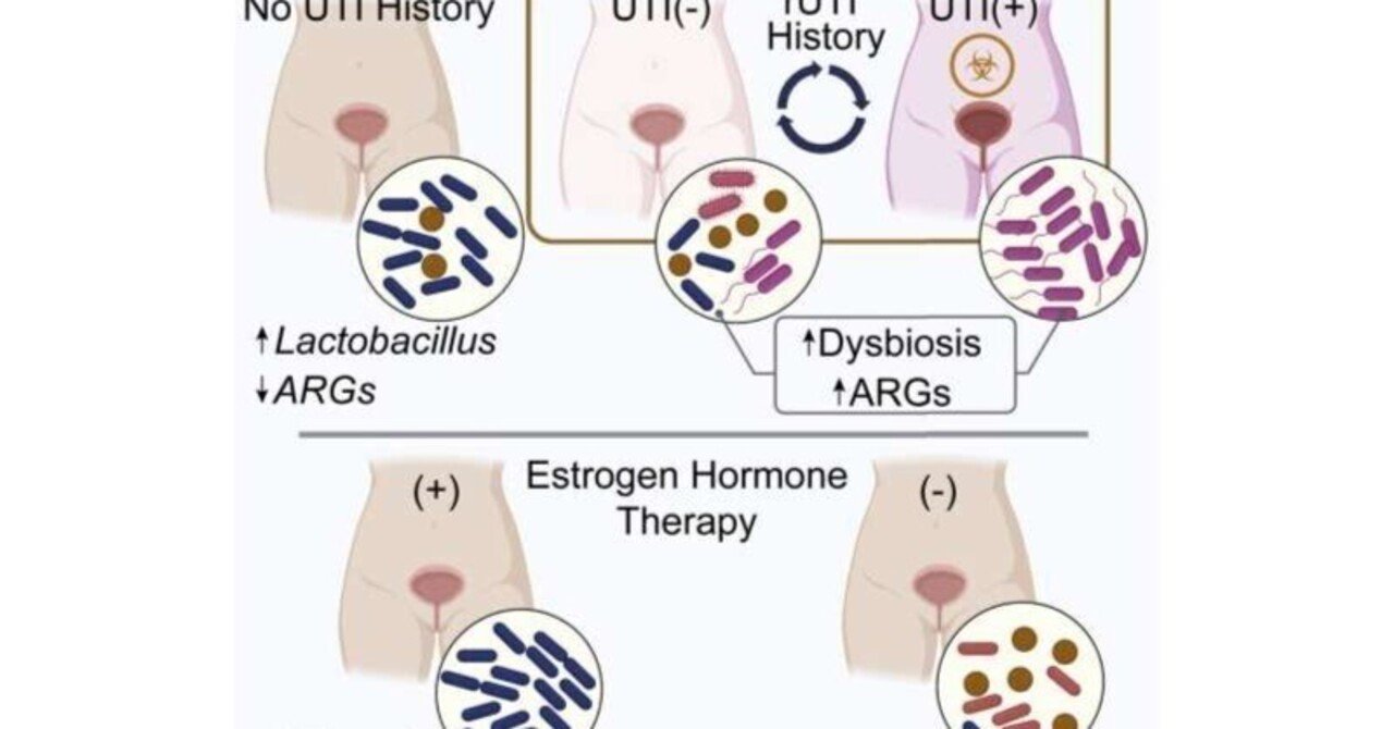 MI CK ベーシック生化学 RN NO 再発性尿路感染とエストロゲンが閉経後の尿路性器マイクロバイオームの