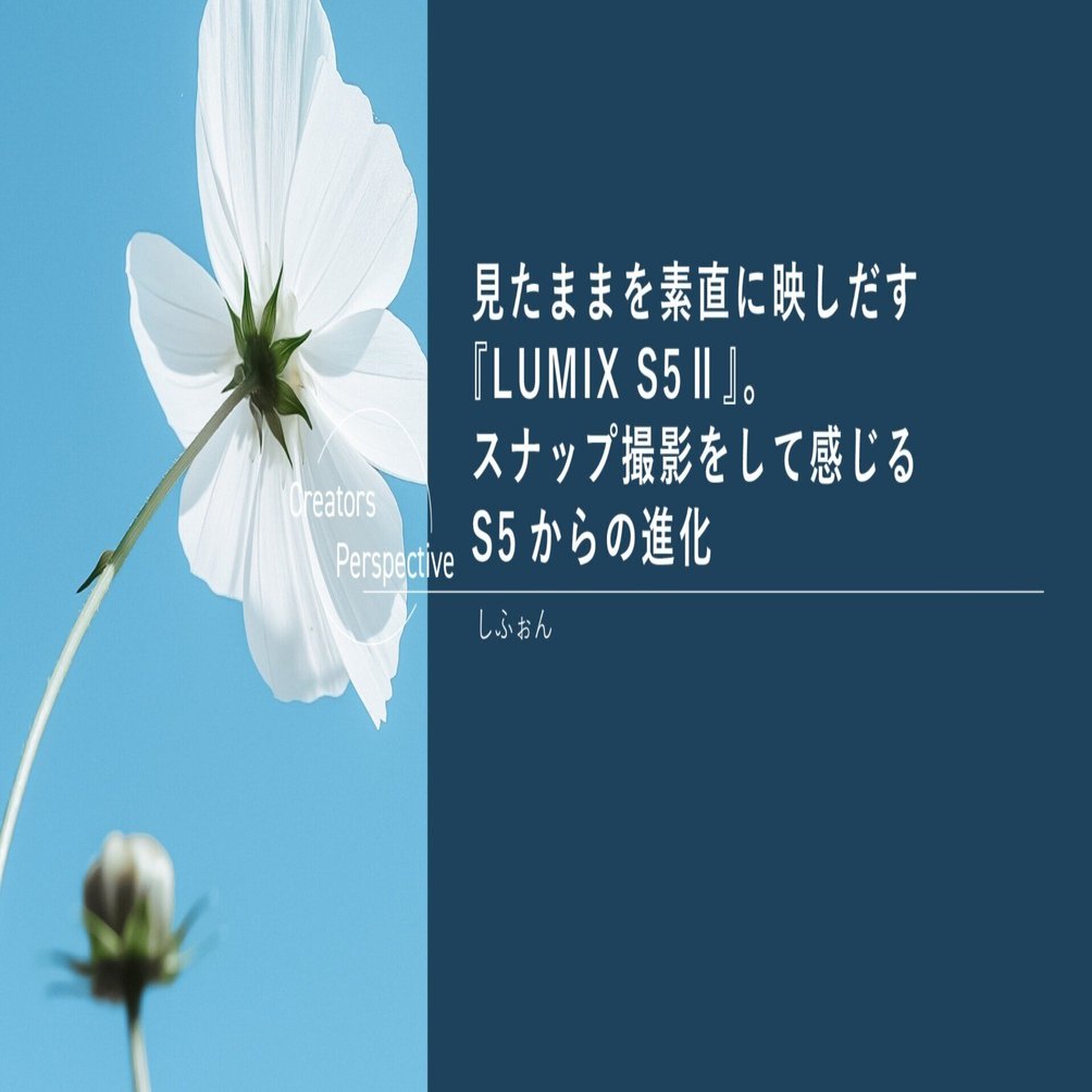 LUMIX （値下げはコメントお願いします） 見たままを素直に映しだす『LUMIX S5Ⅱ』。スナップ撮影をして感じるS5