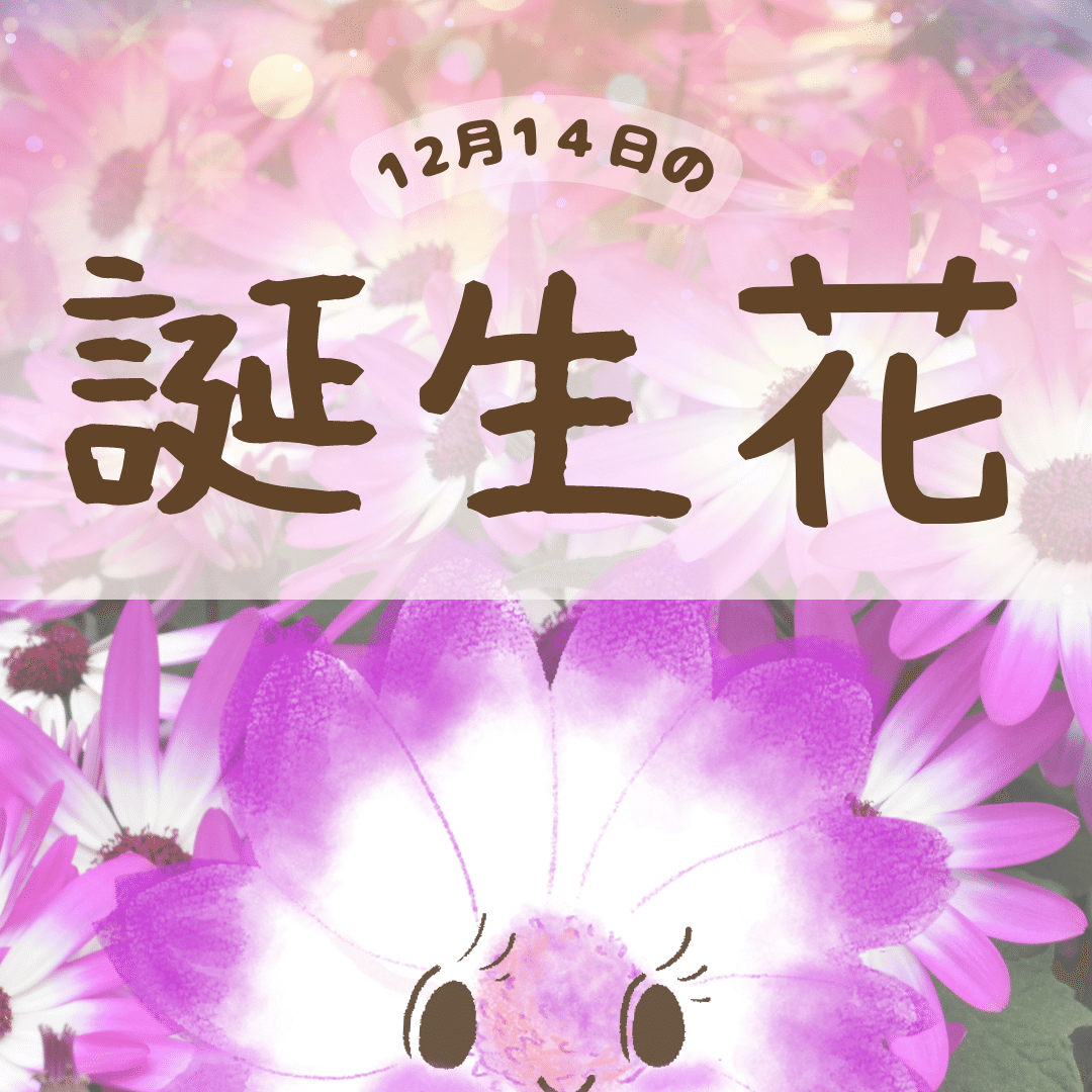 12月14日の誕生花と花言葉でおめでとう イラスト 写真 森田はぐみdesign イラストレーター Note
