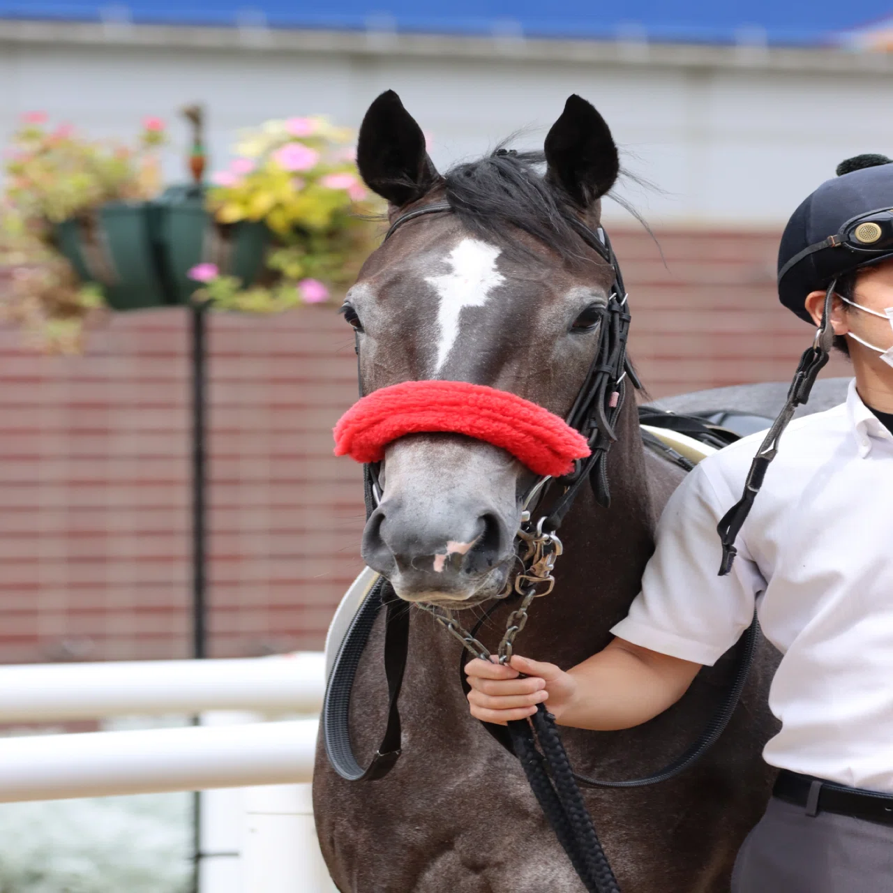 オシャレだって大切！〜馬具の話〜｜ひでまさねちか