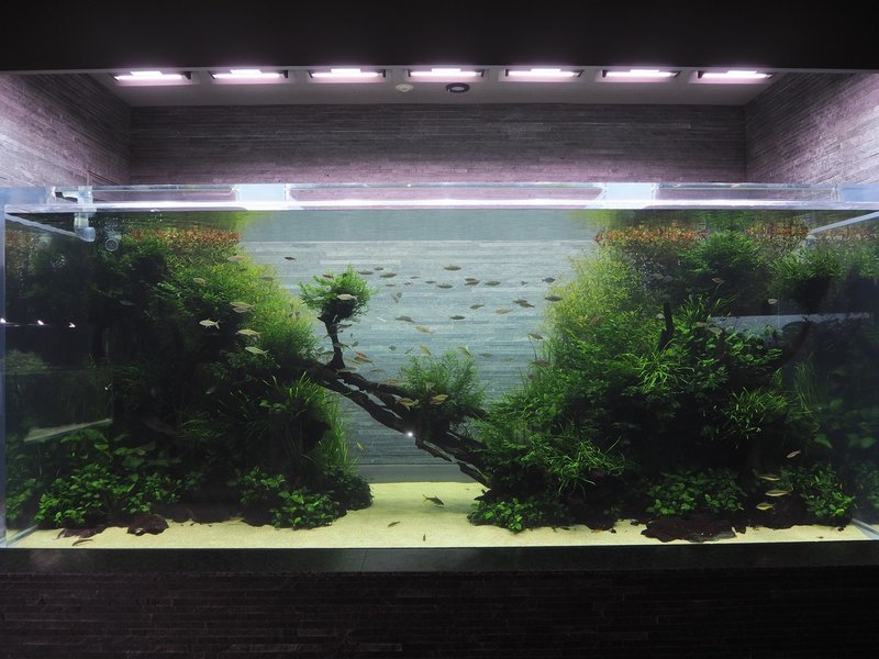 No 1 すみだ水族館 あり Note