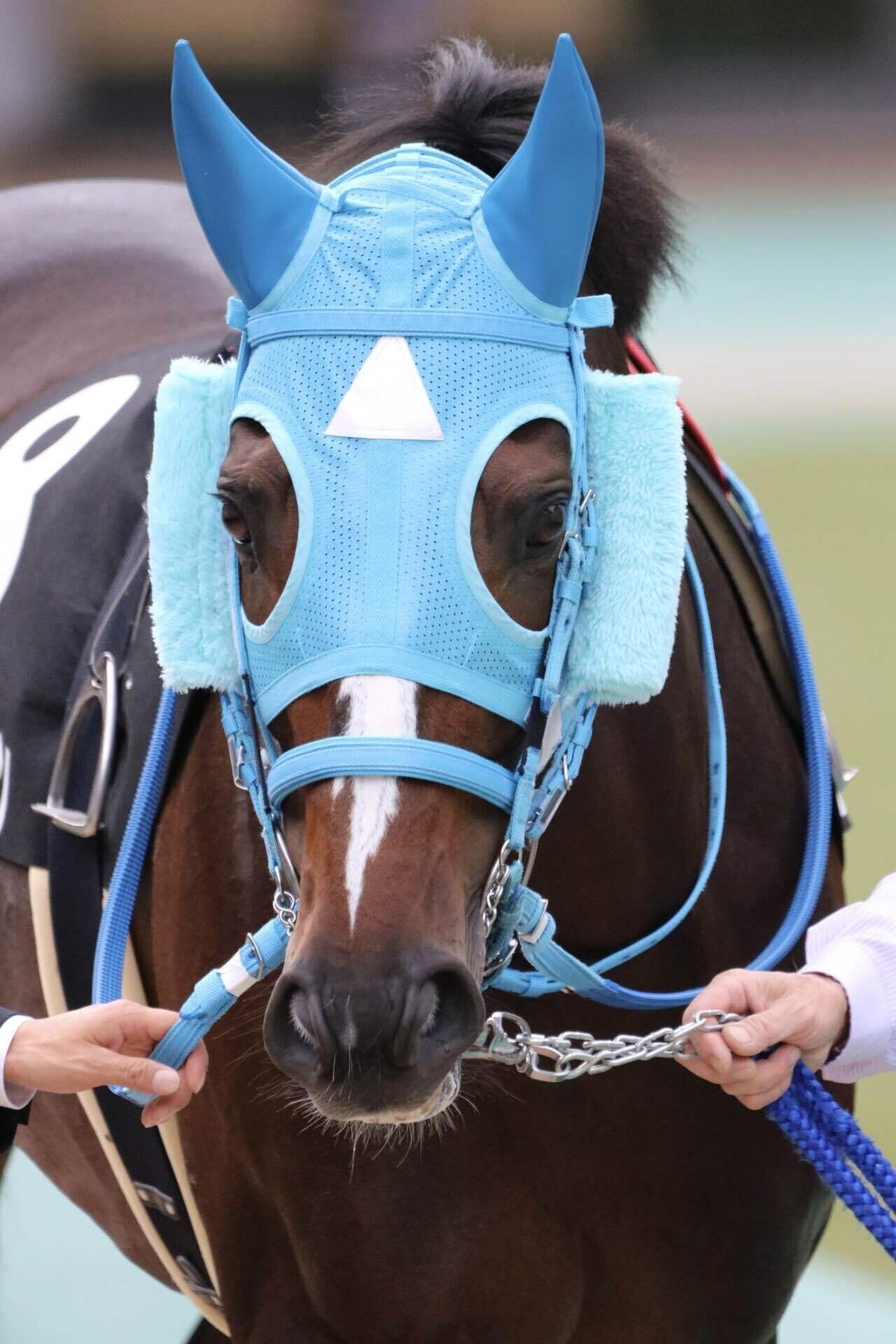 BRIDLE BAG 頭絡バッグ ラック ブライドルバッグ 乗馬 馬術 - その他