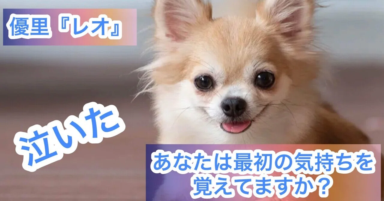 優里さんの『レオ』は何故泣けるのか??｜たーにゃんこ