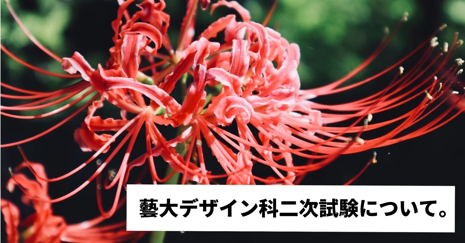 藝大デザイン科二次試験について。｜流太