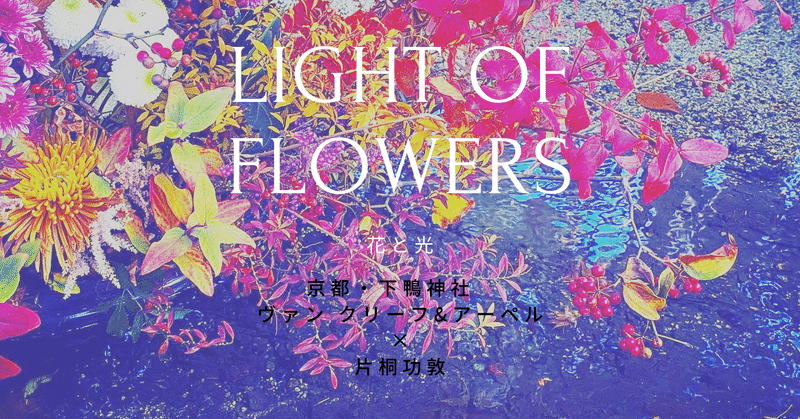 京都・下鴨神社の片桐功敦「LIGHT OF FLOWERS花と光」展でひかりをみた