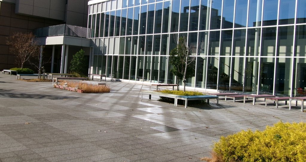 実践女子大学現代生活学科フィールドリサーチ|note