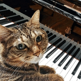 YUKI_PIANO｜Lesson＆Cat