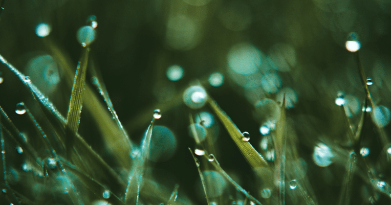 冷たい霧雨／長歌【詩】