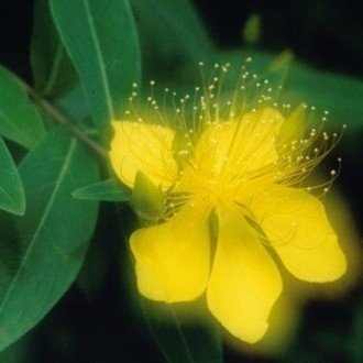 スマホとパソコンで中国語入力をするには 清原文代 Note