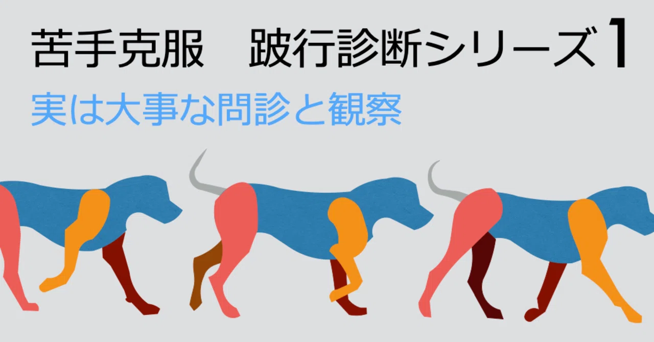 苦手克服！跛行診断シリーズ1 実は大事な問診と観察（QUARC動物病院