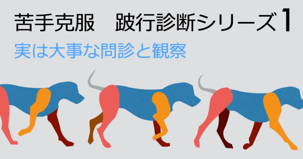 犬の跛行診断 苦手克服！跛行診断シリーズ1 実は大事な問診と観察（QUARC動物病院