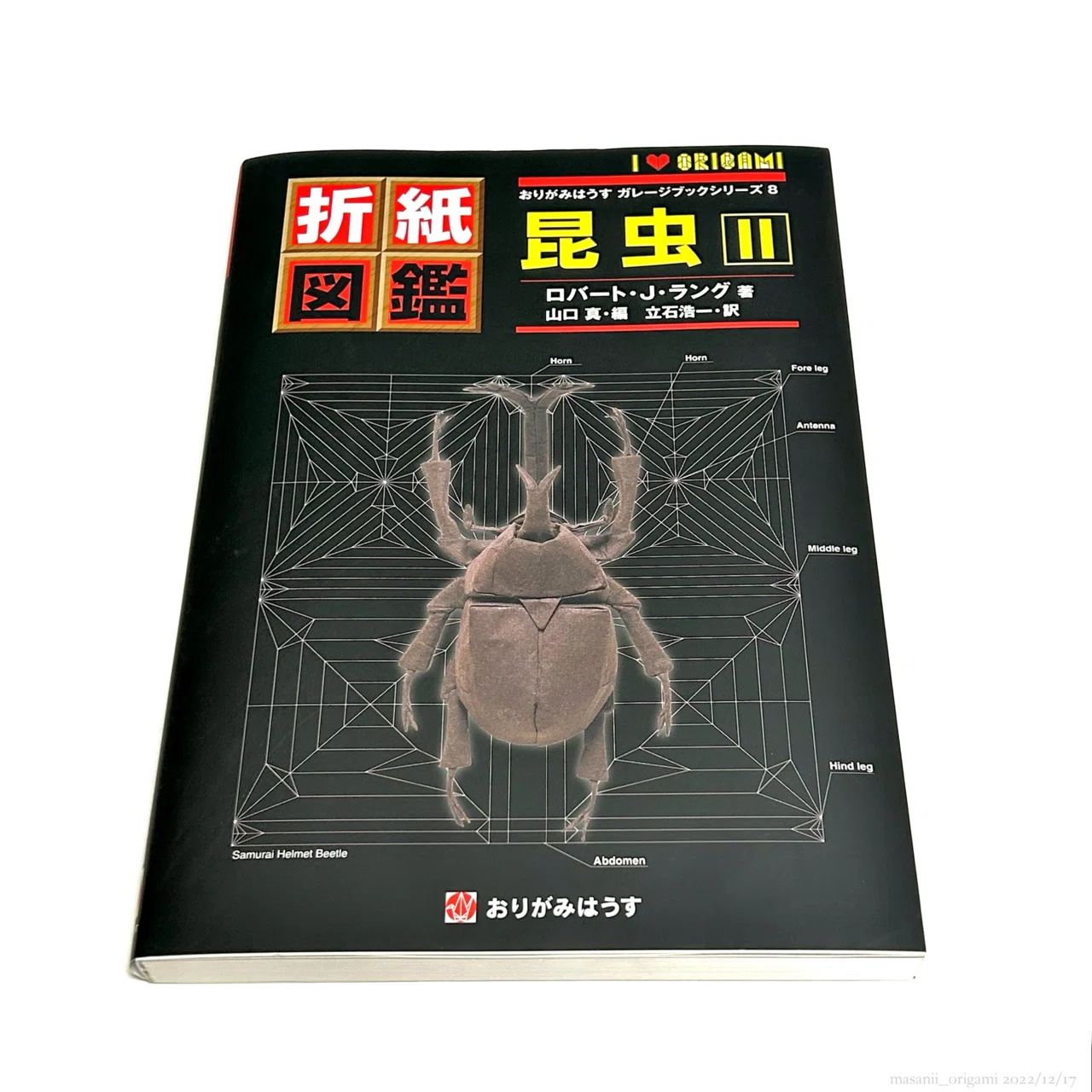 物理学者ラングの複雑系折り紙「カブトムシ」に挑戦／