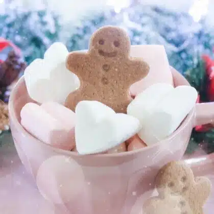 日々スケ