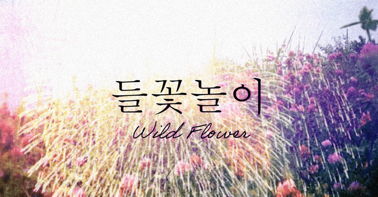 Rm 들꽃놀이 Wild Flower 僕のはじまりは詩 日本語選びにこだわる和訳歌詞 No 076 Noa Note