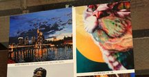 模写の風景 画家の心 第15回「アンリ・マティス ルーマニア風