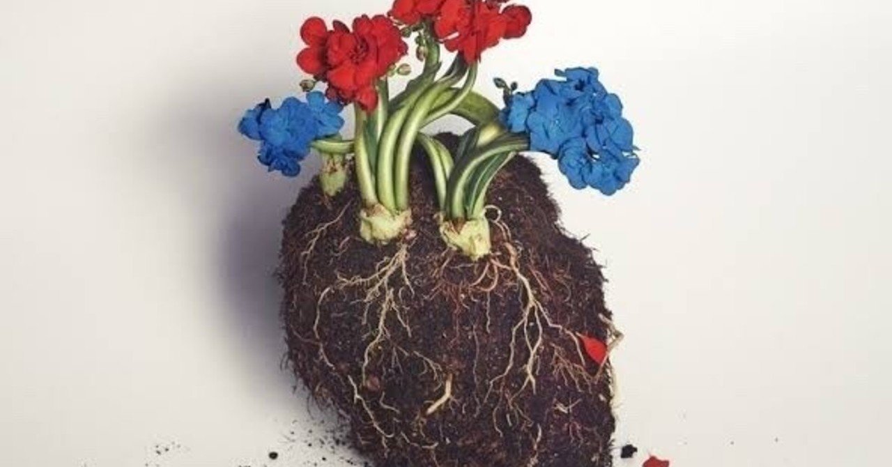 星野源「Pop virus 」聴いて思ったこと｜Changp