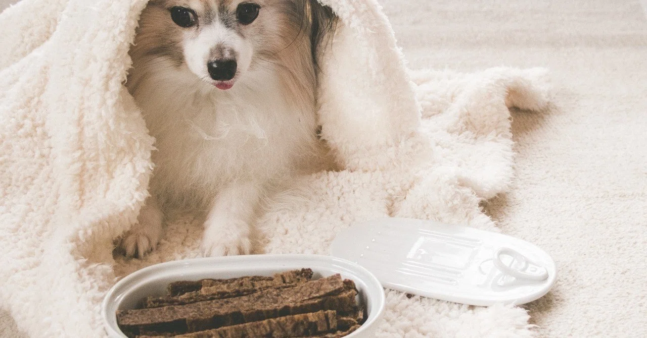 食材有効活用 レバーとハツのやわらかジャーキー 手作り犬おやつレシピ 単品購入 いちかわあやこ 犬ごはん先生 Note