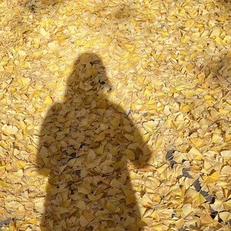 広里ふかさ(ひろさと ふかさ)