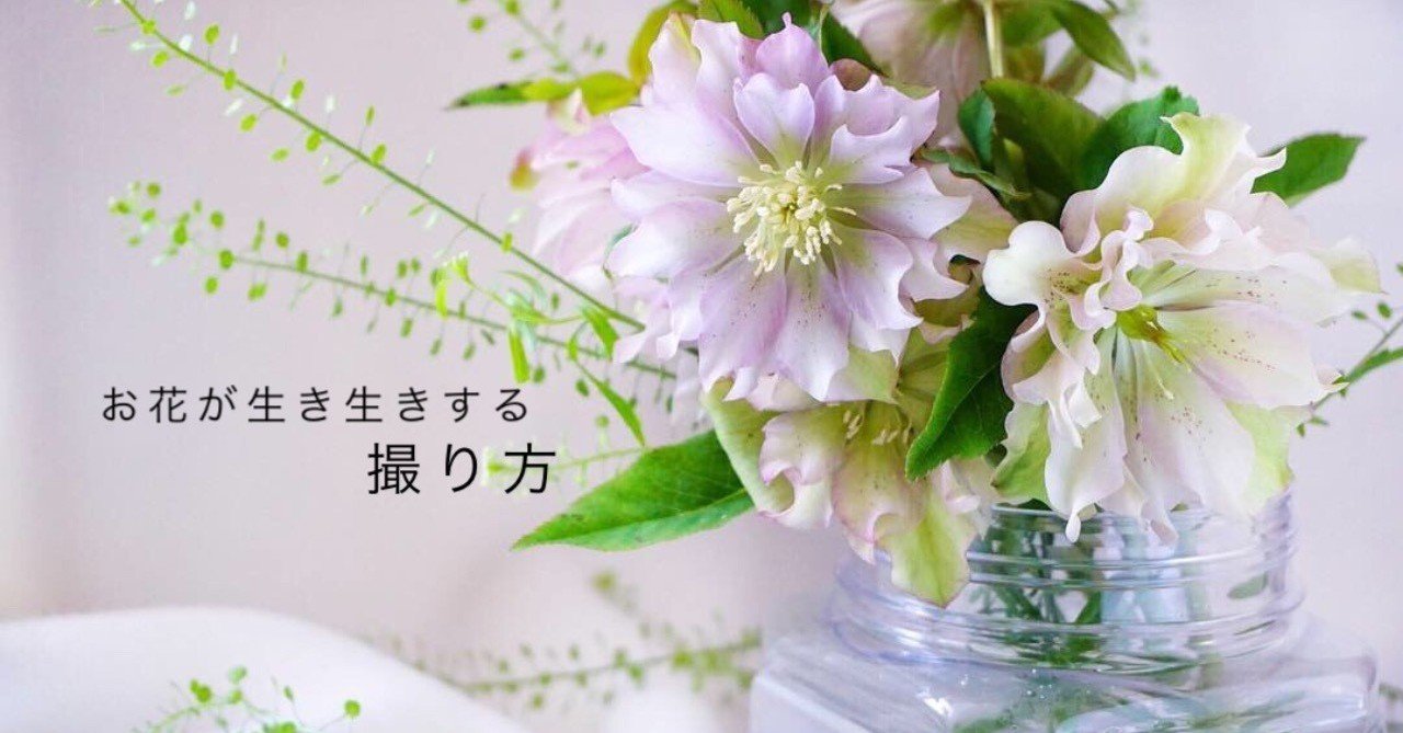 お花が生き生きする撮り方｜shion｜note