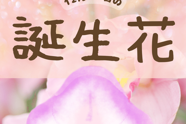 3sw5rart7ycmwm 3sw5rart7ycmwm