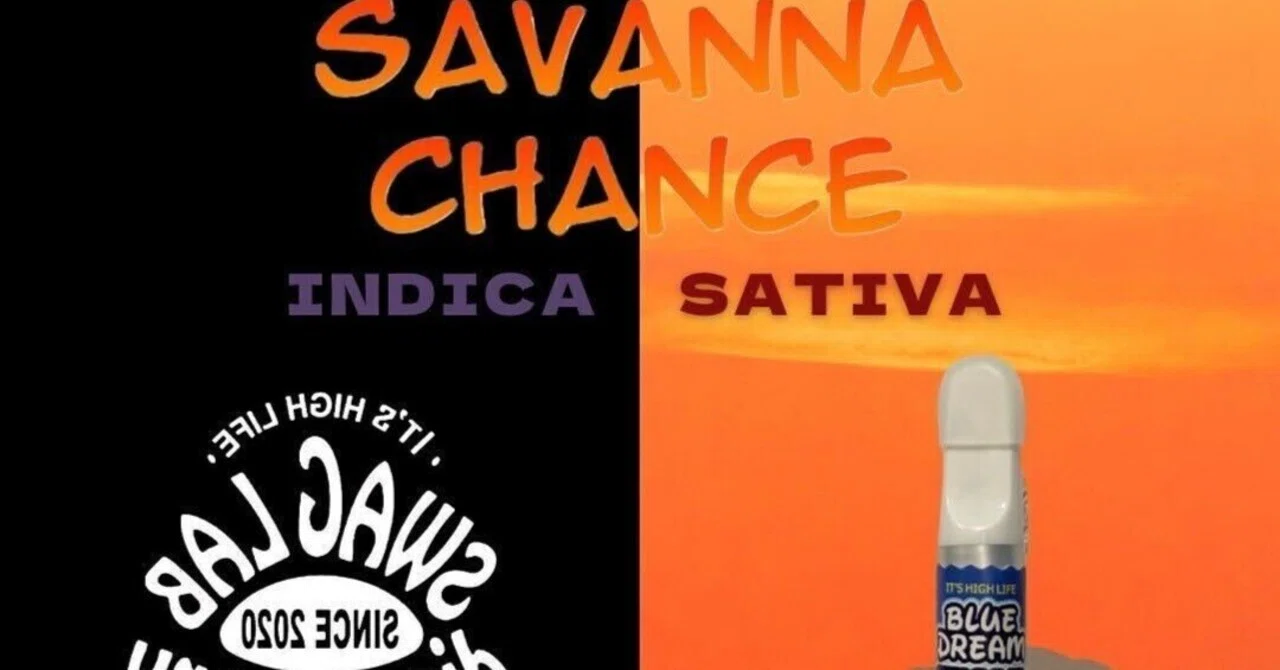 【SWAG LAB：SAVANNA CHANCE】え？本物と変わらないんですけど、、、、｜ゆらりちゃん｜note
