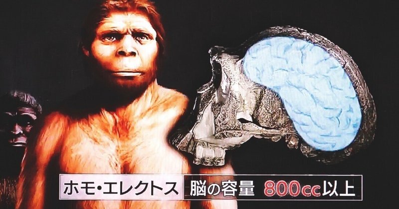 ホモ・エレクトス
