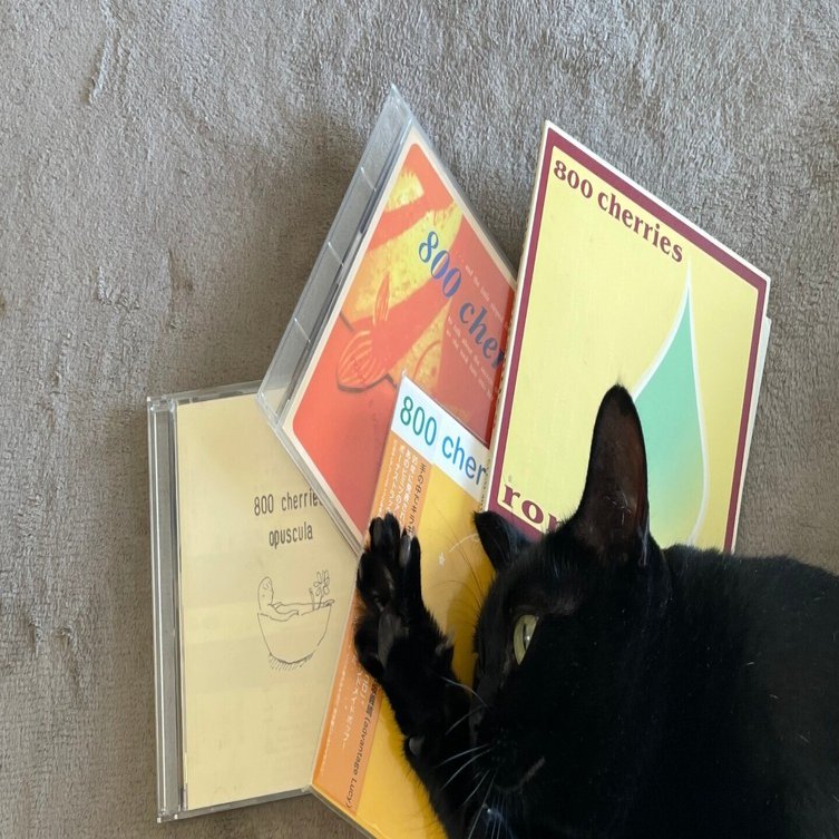 800 cherriesとあの頃（後編）800 cherriesリマスター配信に寄せて by