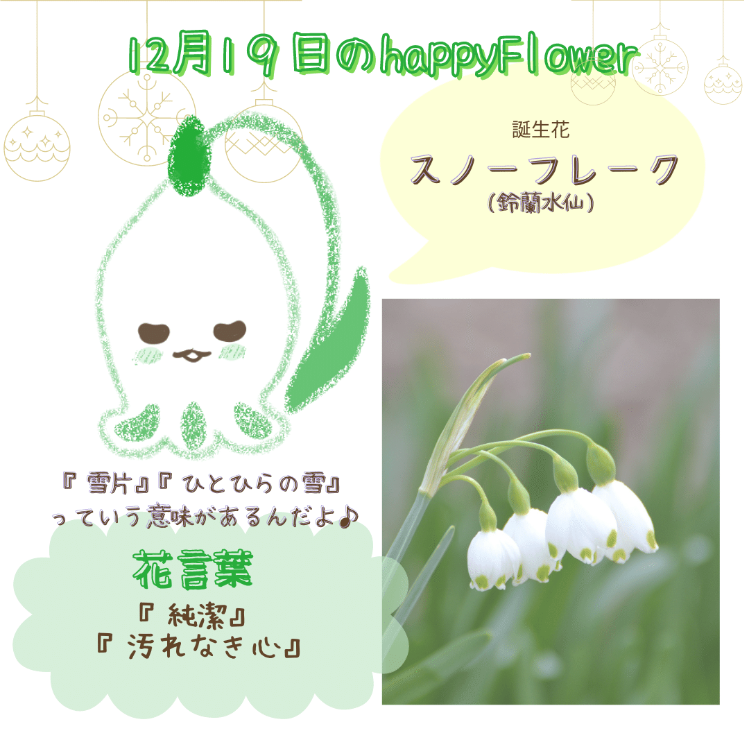 12月19日の誕生花と花言葉でおめでとう イラスト 写真 森田はぐみdesign イラストレーター Note