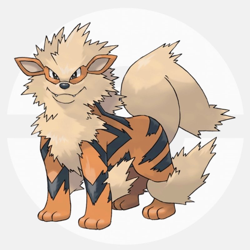 ポケモンのなまえ よんだなら ノノタロス Note